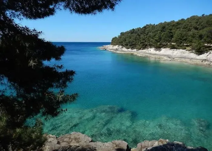 Appartamento Nps - Only 10 Minutes From The *